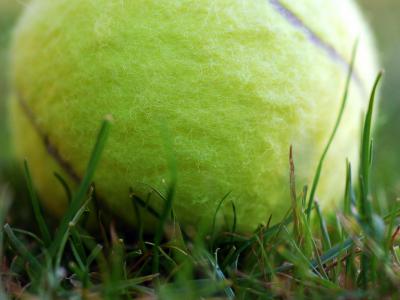 swiss indoors tennis free streaming